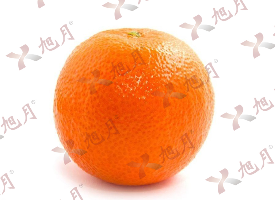 水果果實(shí)