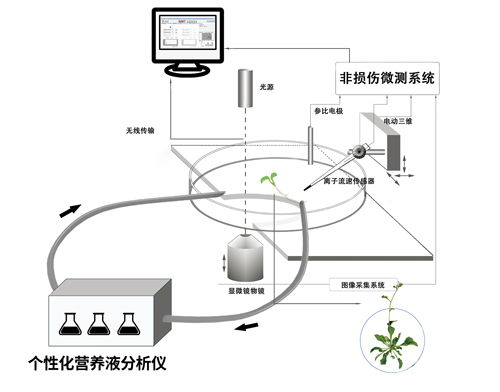 個(gè)性化營(yíng)養(yǎng)液分析儀