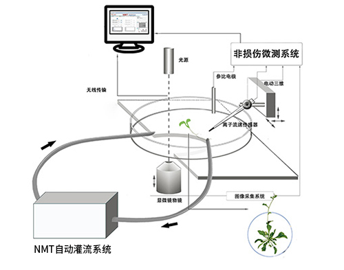 NMT自動灌流系統(tǒng)