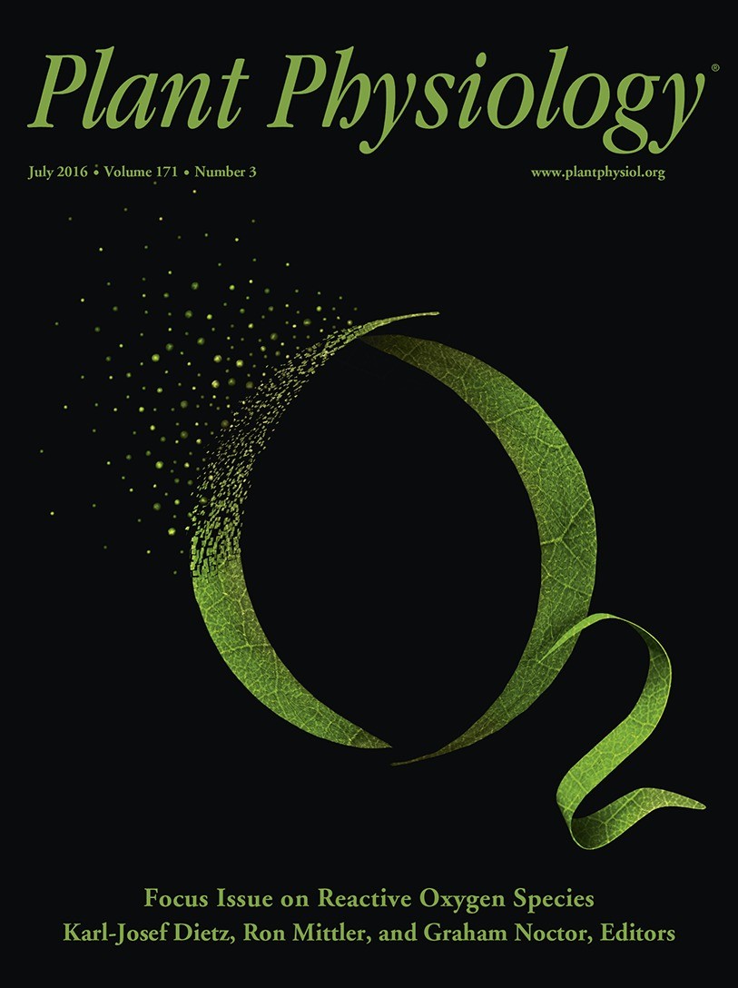 Plant Physiol ：山東大學(xué)、山東省農(nóng)科院丨線粒體丙酮酸載體調(diào)控植物耐鎘的機理（附NMT實驗體系）