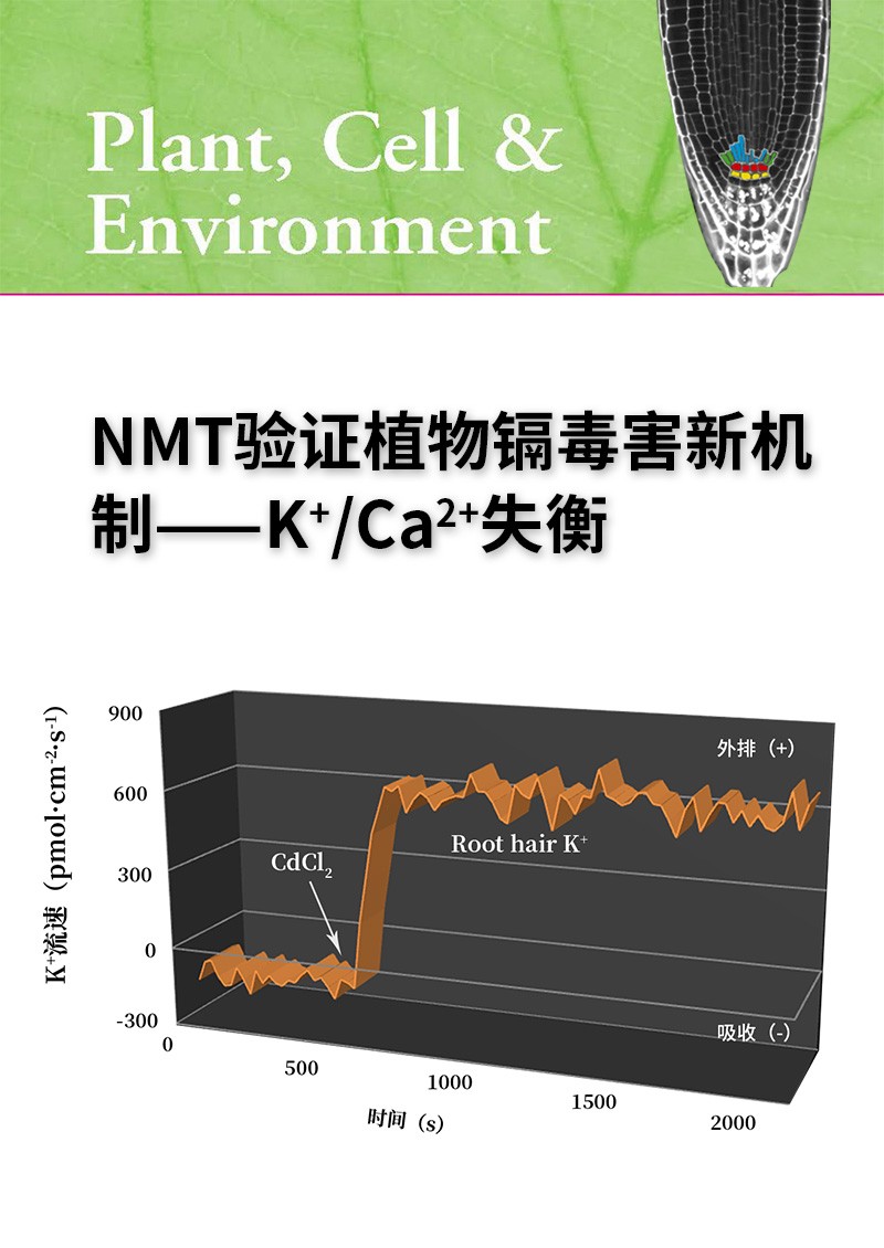 NMT驗證植物鎘毒害新機制——K+/Ca2+失衡