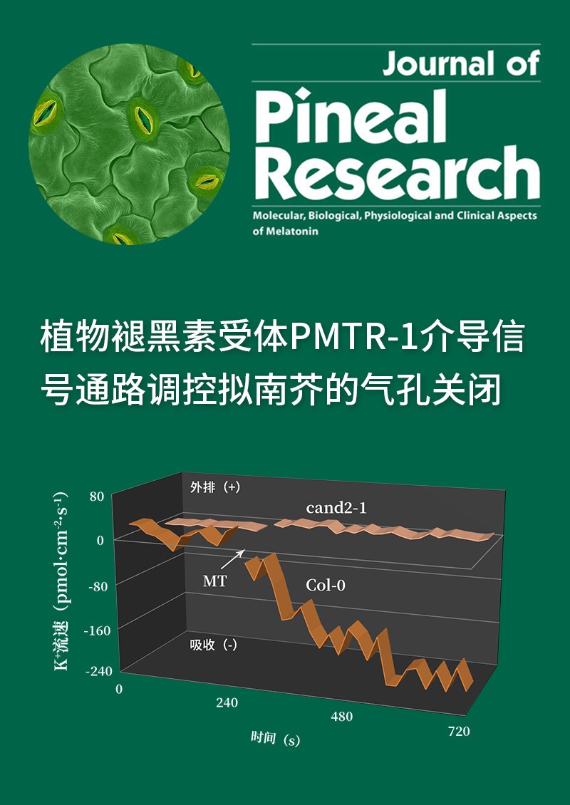 植物褪黑素受體PMTR-1介導信號通路調(diào)控擬南芥的氣孔關(guān)閉