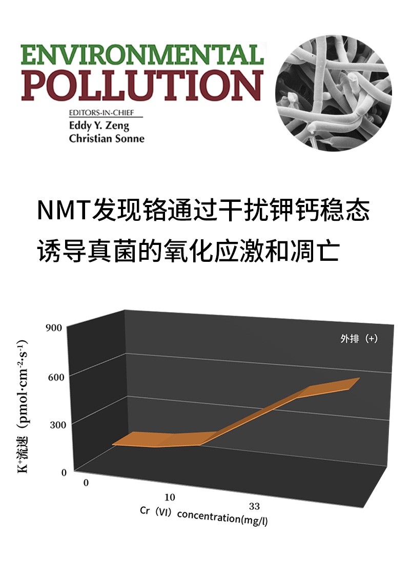 NMT發(fā)現(xiàn)鉻通過干擾鉀鈣穩(wěn)態(tài)誘導(dǎo)真菌的氧化應(yīng)激和凋亡