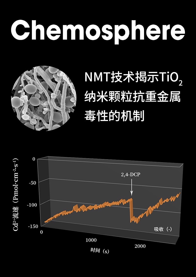 NMT技術(shù)揭示TiO2納米顆?？怪亟饘俣拘缘臋C(jī)制
