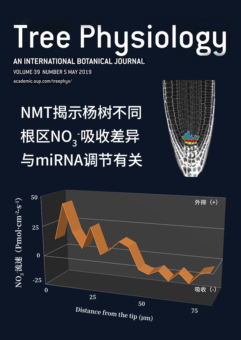 NMT揭示楊樹(shù)不同根區(qū)NO3-吸收差異與miRNA調(diào)節(jié)有關(guān)