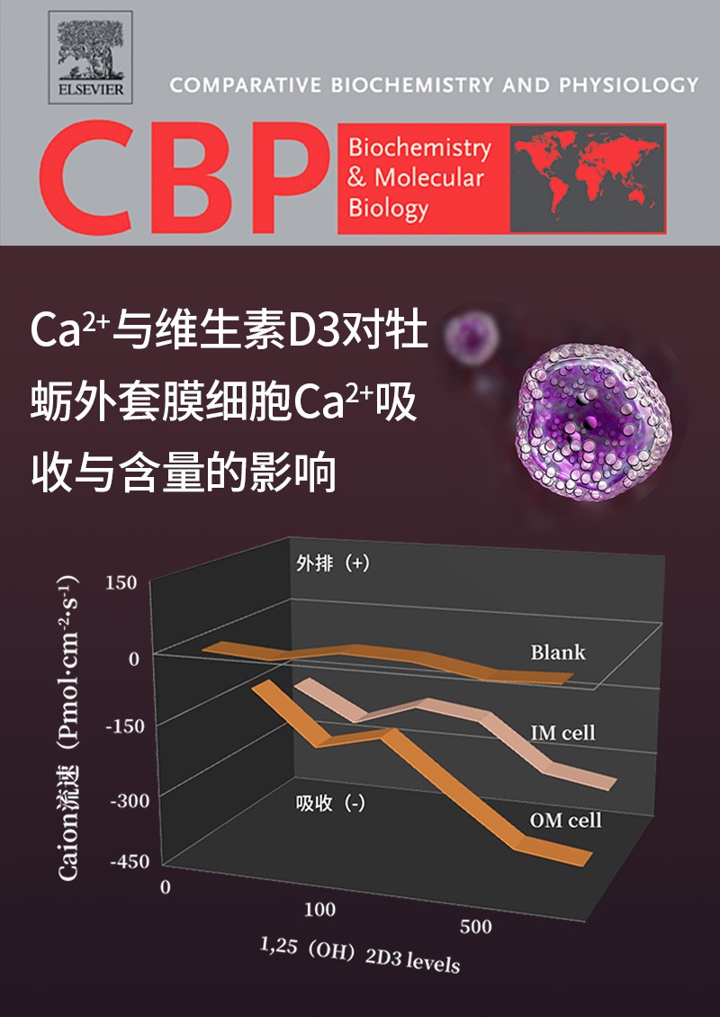 Ca2+與維生素D3對(duì)牡蠣外套膜細(xì)胞Ca2+吸收與含量的影響