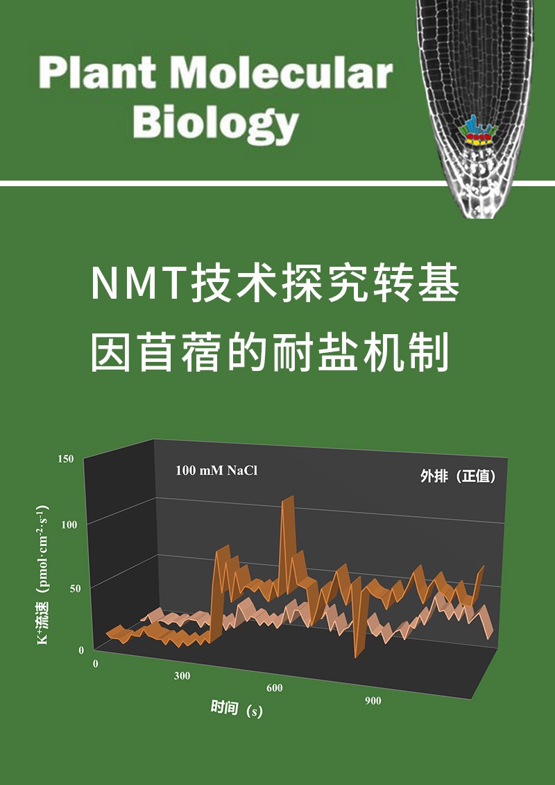 NMT技術(shù)探究轉(zhuǎn)基因苜蓿的耐鹽機(jī)制
