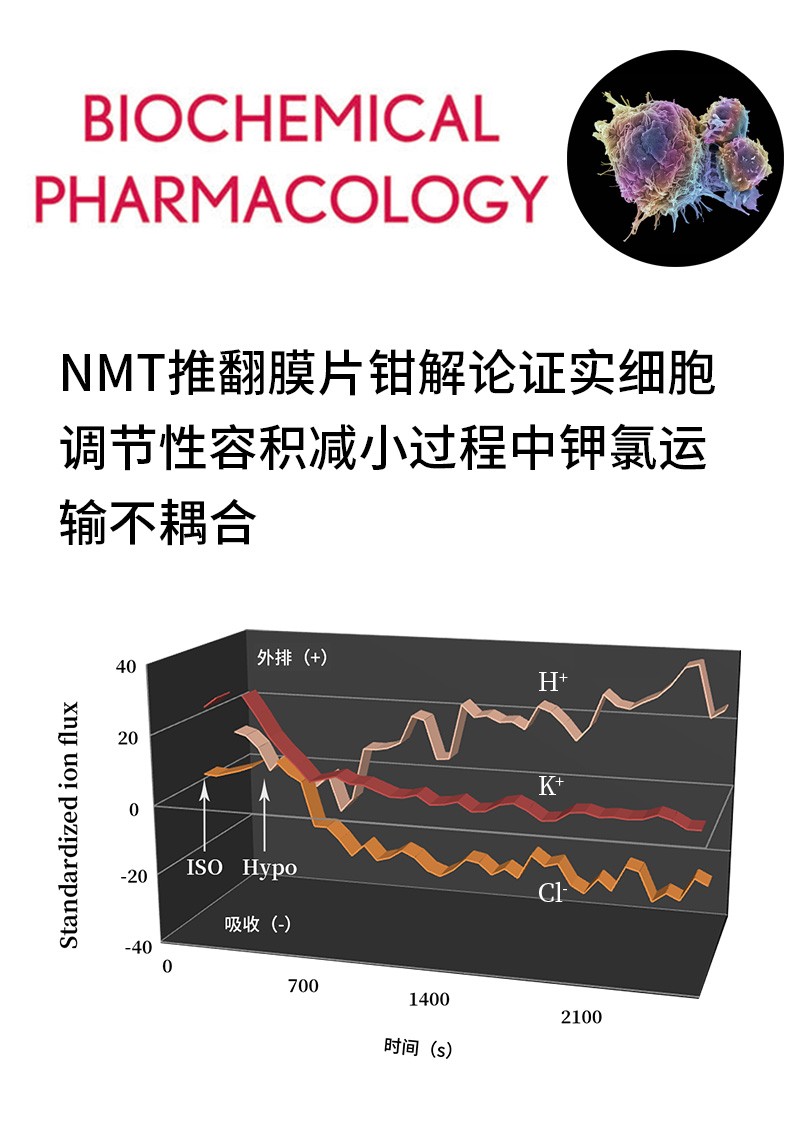 NMT推翻膜片鉗解論證實細胞調(diào)節(jié)性容積減小過程中鉀氯運輸不耦合