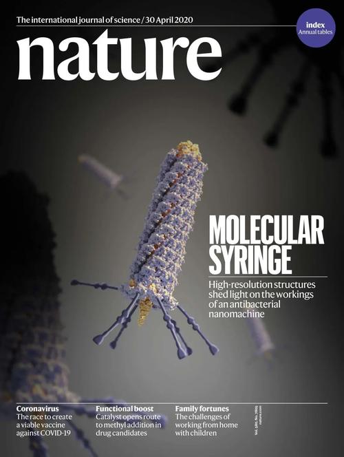 Nature：NMT為氣孔免疫鈣通道的發(fā)現(xiàn)提供重要證據(jù)