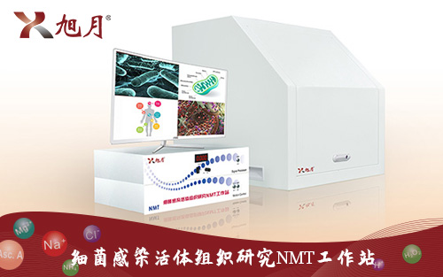 細(xì)菌感染活體組織研究NMT工作站
