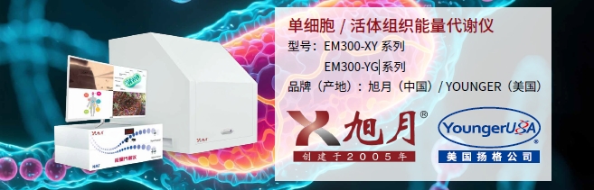 單細(xì)胞/活體組織能量代謝儀