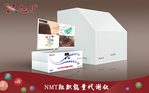 NMT組織能量代謝儀